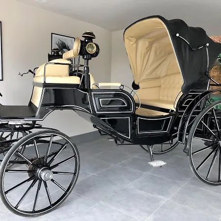 Gastronómico Torre De Galizano