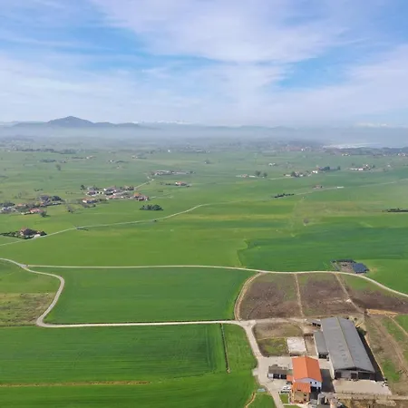 Gastronomico Torre De Szálloda Galizano